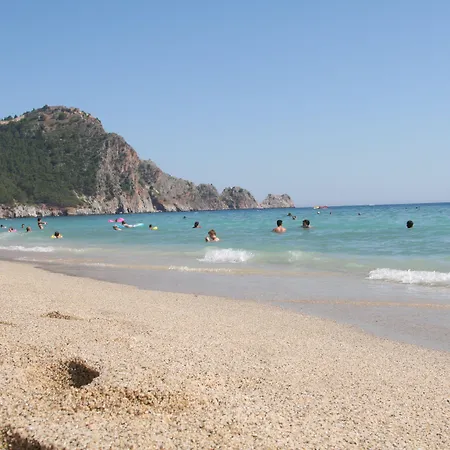 منتجع إليسي بيتش 3*